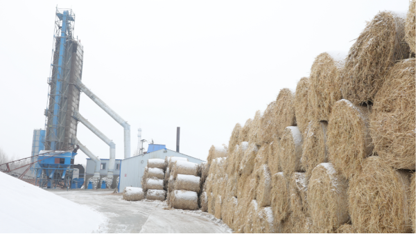 煤炭價格高，烘糧利潤低，吉林大安市500噸糧食烘干塔改用秸稈大包直燃鍋爐，每天省3萬